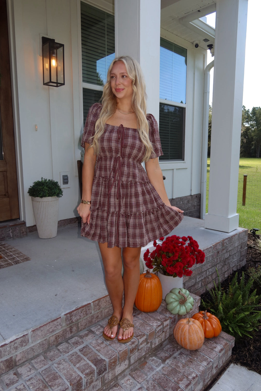 Brown Sugar Mini Dress